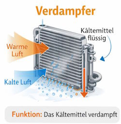 Schnittdarstellung eines Kfz-Verdampfers: Warme, feuchte Luft strömt durch den Verdampfer, kühlt ab und Feuchtigkeit kondensiert als Wasser. Blaue Pfeile zeigen Luft- und Kondenswasserfluss, das anschließend nach unten abgeführt wird. Die Klimaanlage stinkt durch Bakterien
