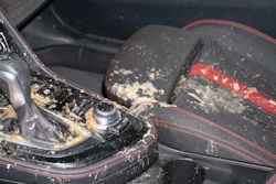 Starke Verschmutzungen und schimmelverdächtige Ablagerungen an der Mittelkonsole und den Autositzen. Feuchtigkeit und mikrobieller Befall können unangenehme Gerüche im Auto verursachen.